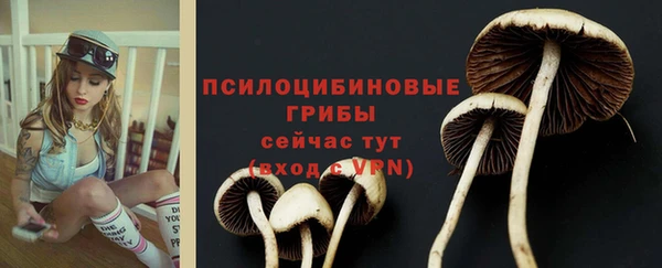молекула духа Беломорск