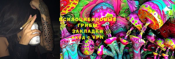 крисы Белоозёрский