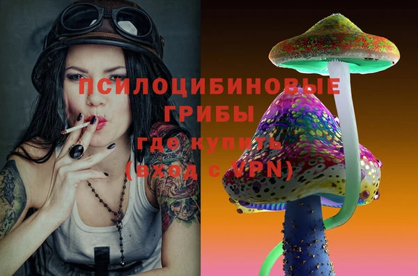 молекула духа Беломорск