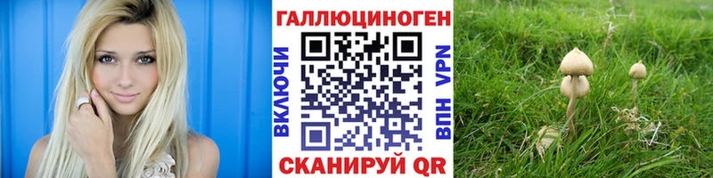 omg маркетплейс  Троицк  Галлюциногенные грибы Cubensis  закладка 